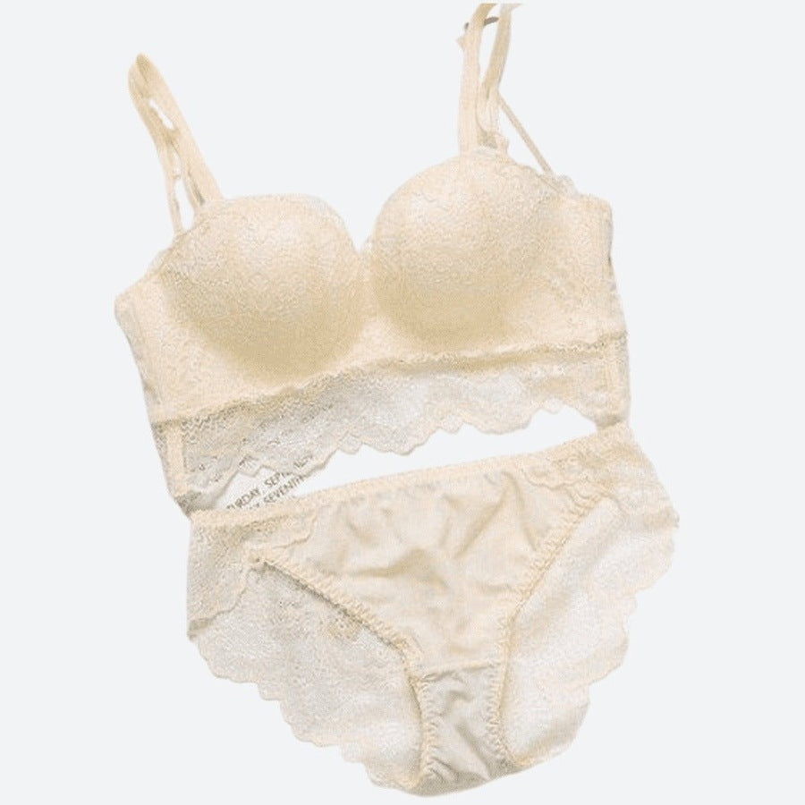 Elegant Lace Lingerie Bra and Panty Set