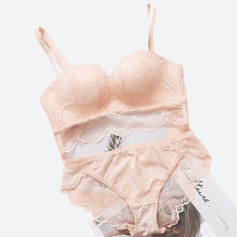 Elegant Lace Lingerie Bra and Panty Set